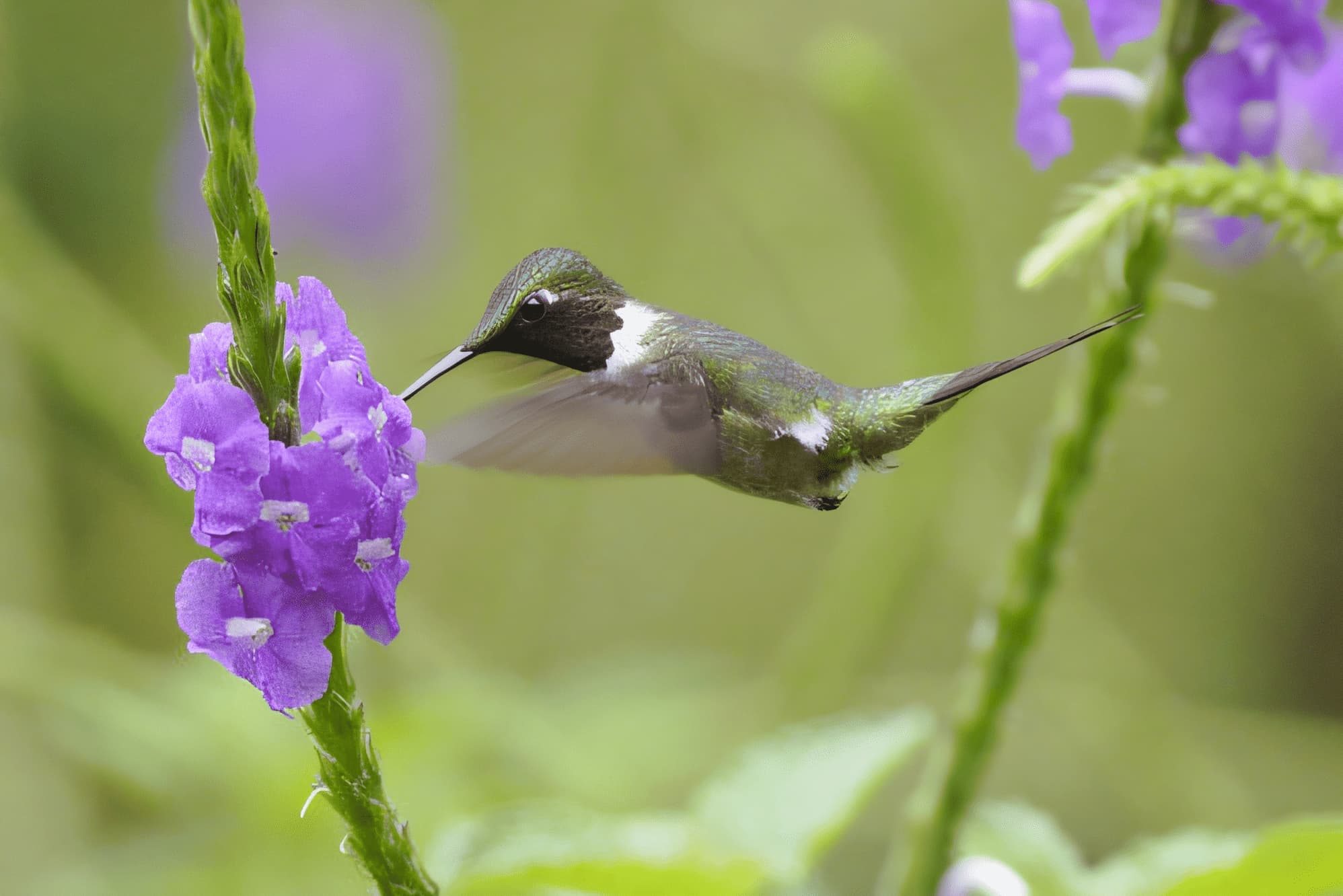 Imagen de Reserva Arena Blanca